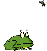 combat grenouilles frog fncv